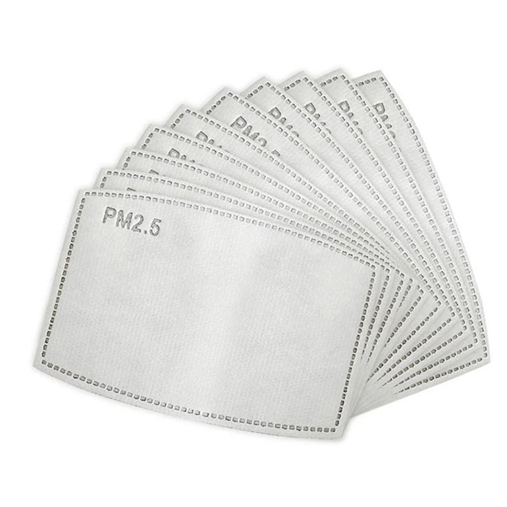 
                  
                    pm2.5 rated activated carbon filters 10 pack
                  
                